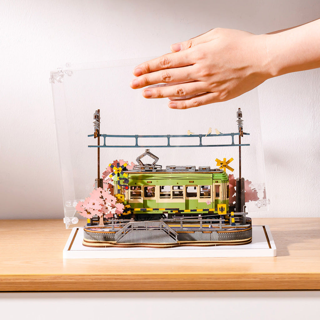 Display Case | Sakura Collection