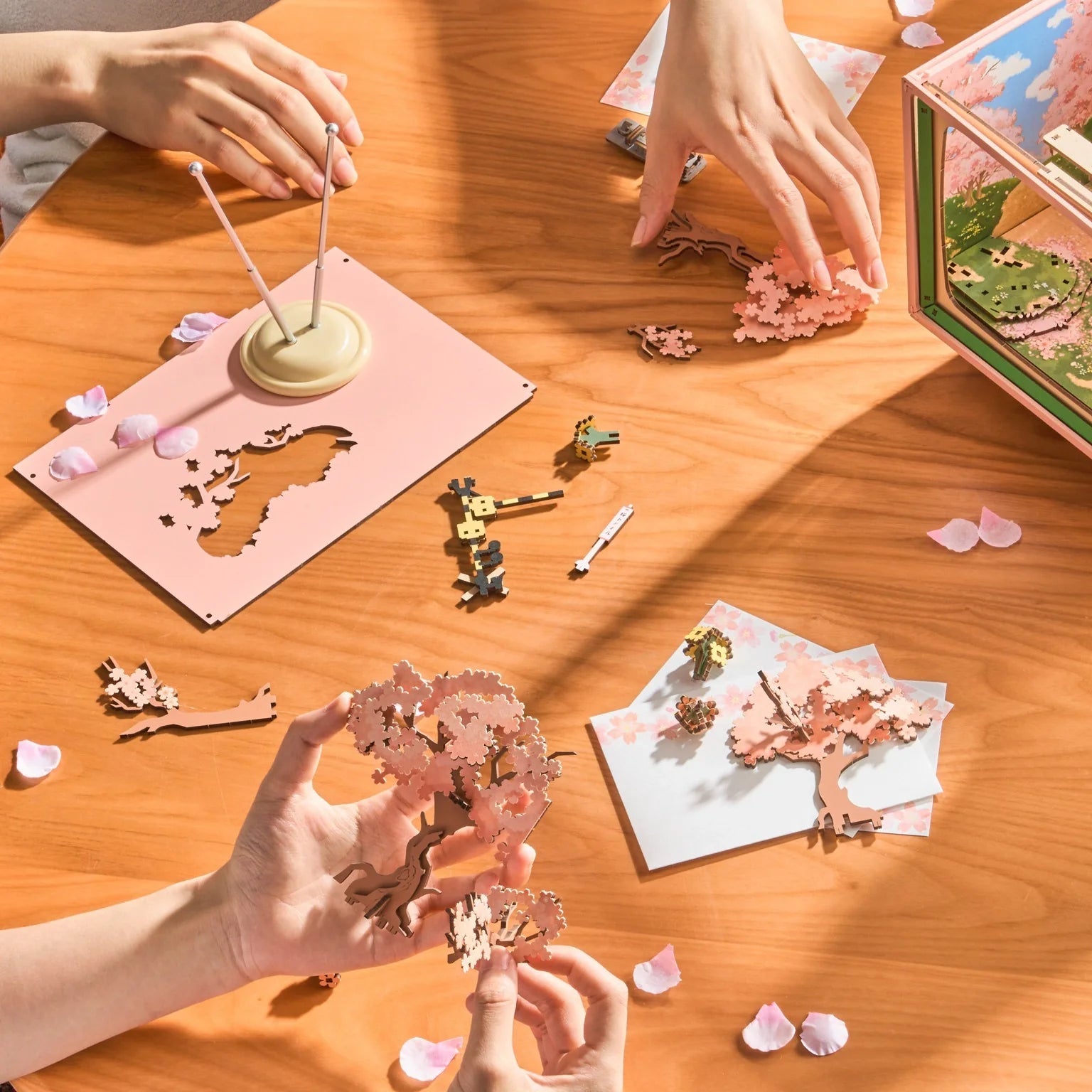 Cherry Blossom Train Music Box | 3D Puzzle